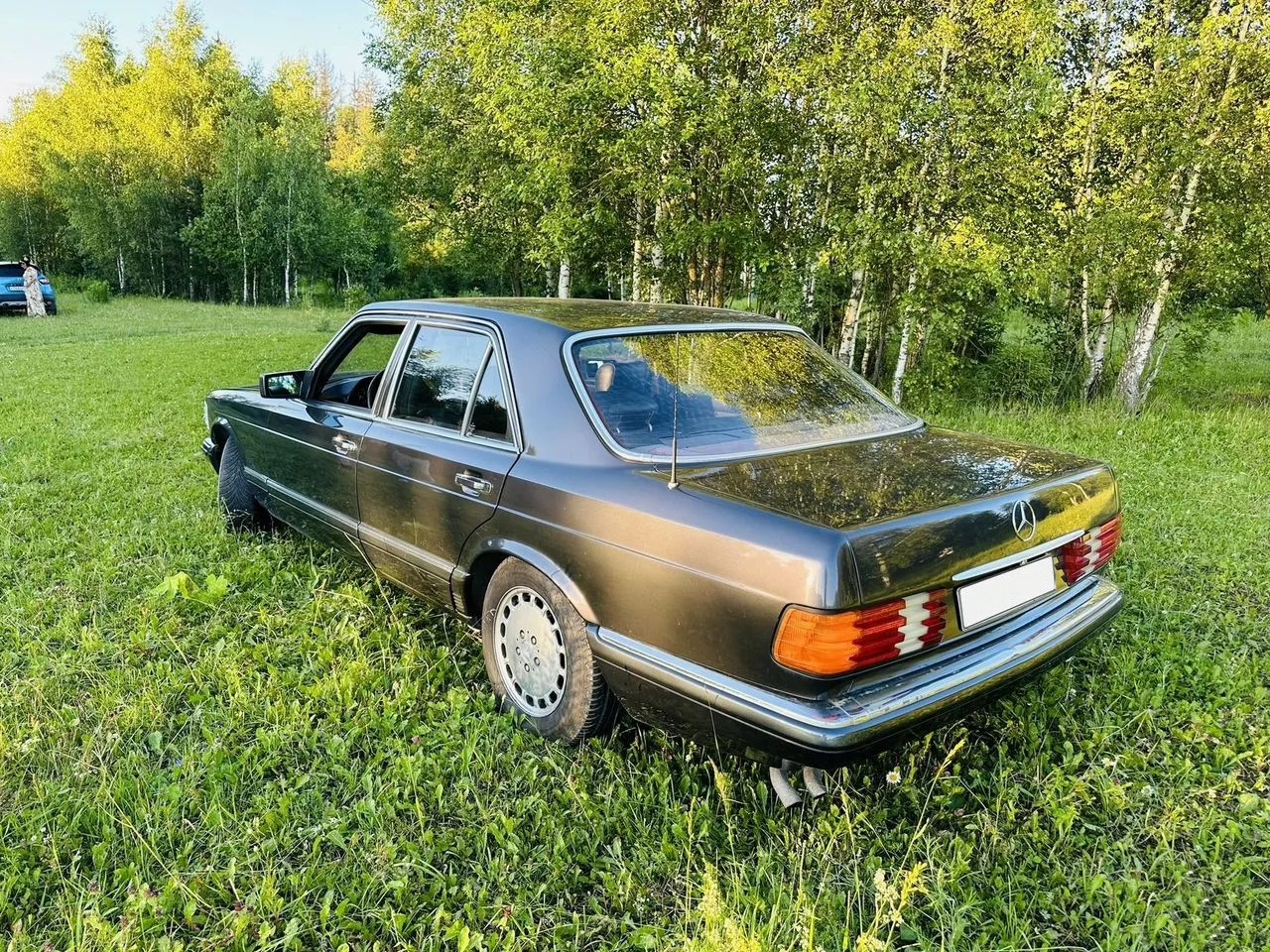 Mercedes-Benz S-класс 2.8_1983 — фото 9